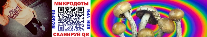 Купить где  Нововоронеж  Галлюциногенные грибы MAGIC MUSHROOMS 