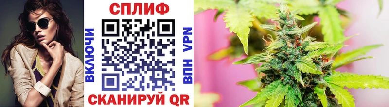 Купить где  Нововоронеж  Шишки марихуана MAZAR 